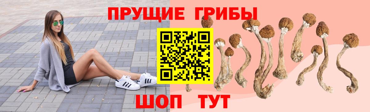Псилоцибиновые грибы GOLDEN TEACHER Кизилюрт